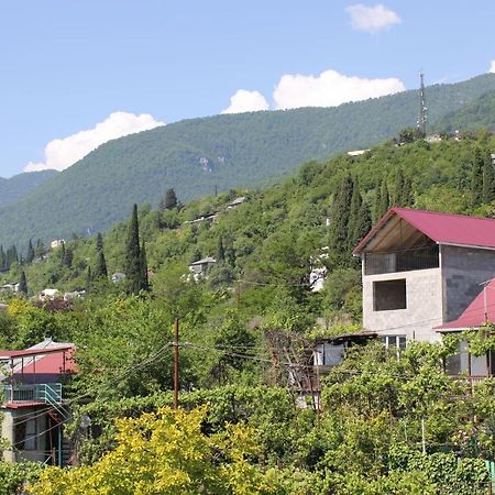 Guest House Zvanba Gagra Eksteriør billede